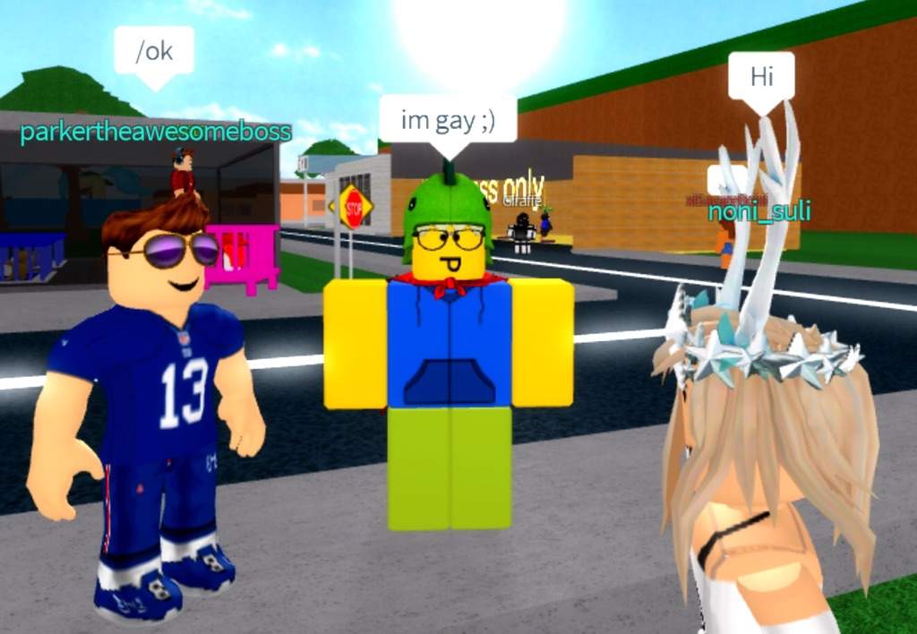 What Happens When Me And Ny Friends Troll Roblox Amino - im gay meme roblox id