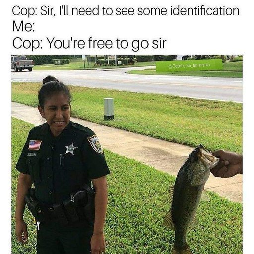 Catch Em All Fishing