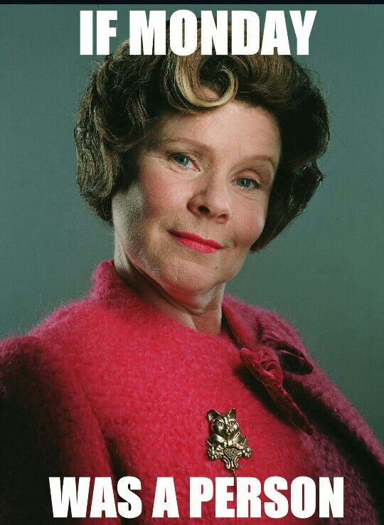 Funny Memes Feat Umbridge Harry Potter Amino