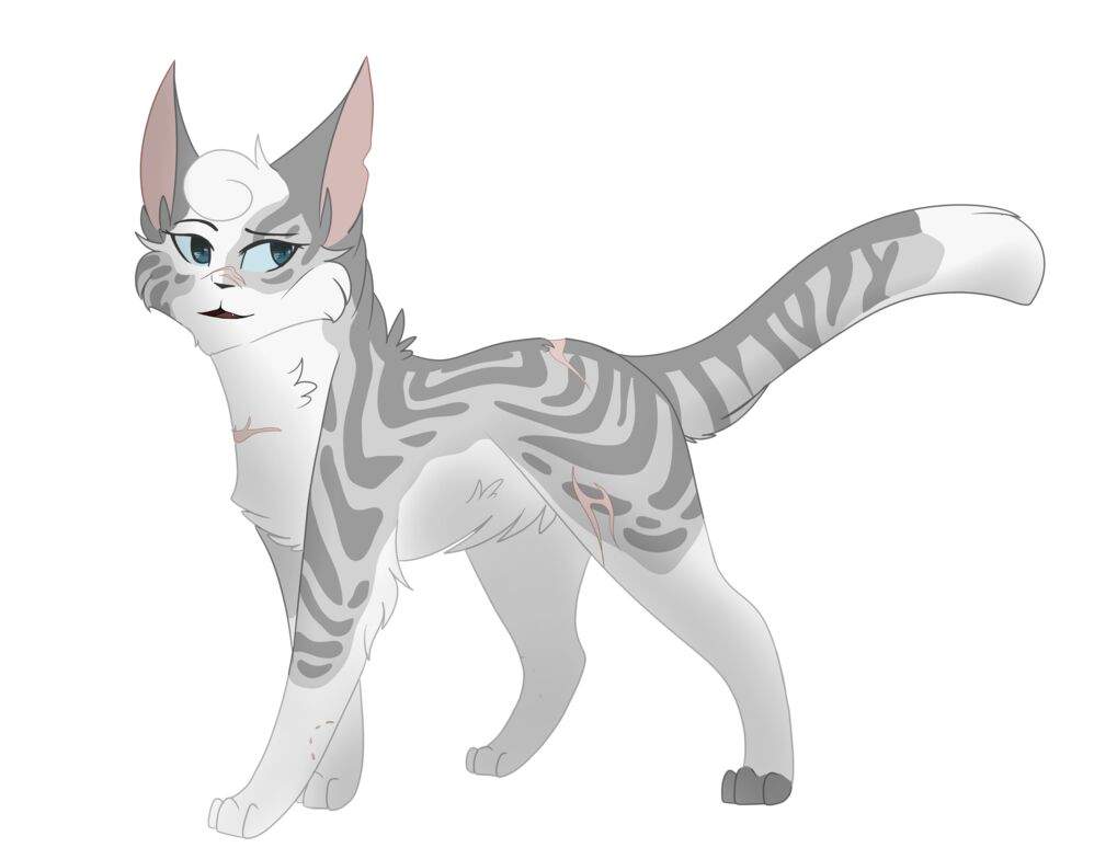 Ivypool Drawing | Warriors Amino