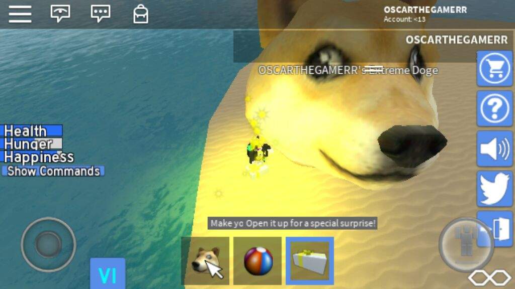 Me And My Doge With Elite Present Yas Roblox Amino - doge roblox amino