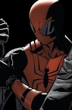 Assassin Spider-Man | Wiki | Comics Amino