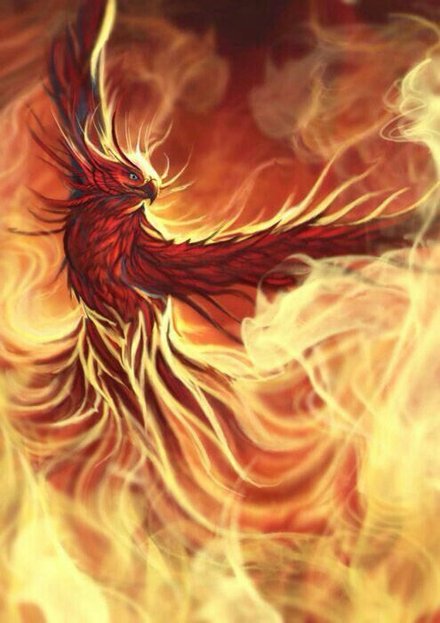 rei fenix