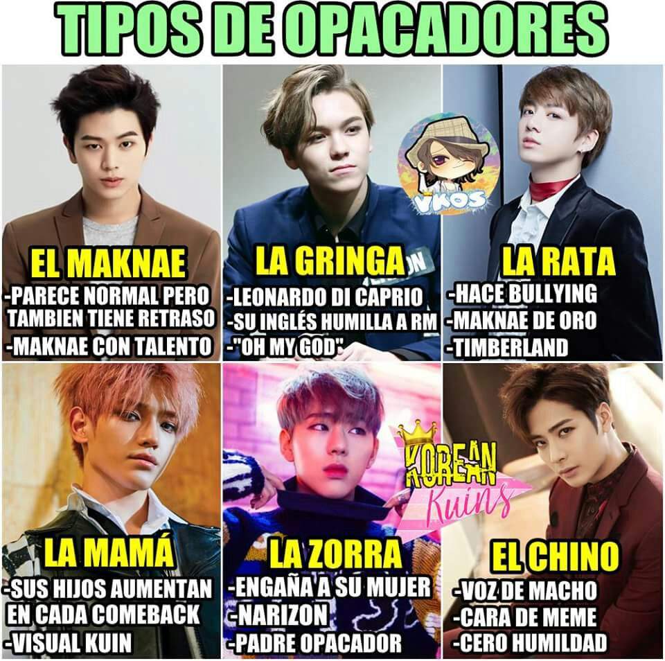 Tipos de opacadores☯👑 | •K-Pop• Amino