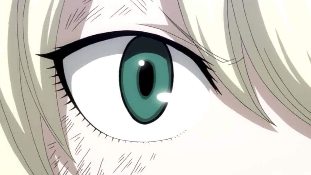 Fairytail Eyes Fairy Tail Amino