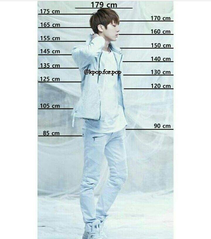 Height comparison | ARMY's Amino