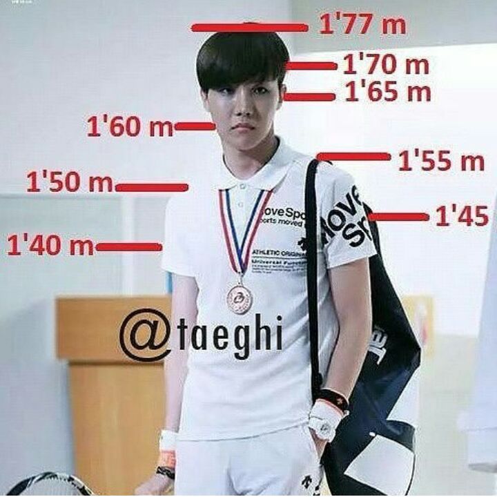 Height comparison | ARMY's Amino