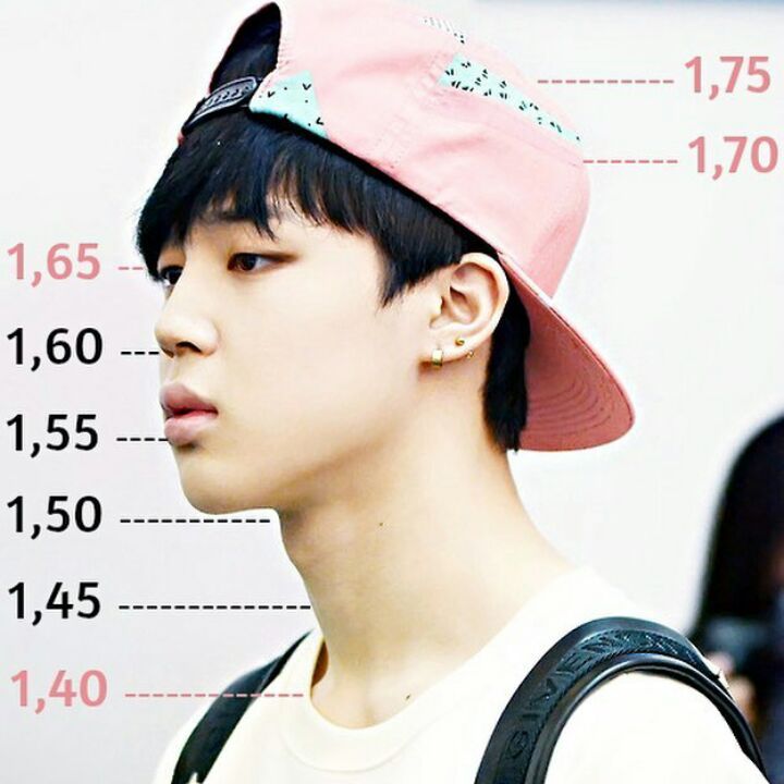 Height comparison | ARMY's Amino