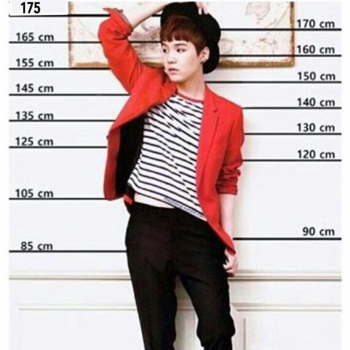 Height comparison | ARMY's Amino