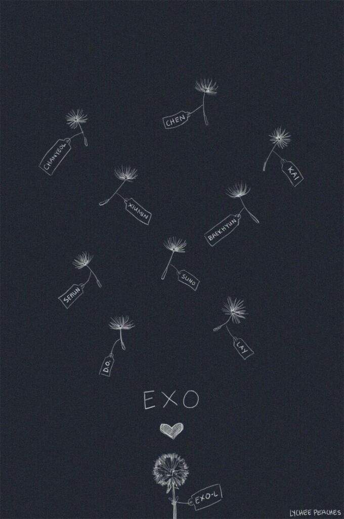 خلفيات شعار Exo K Pop كيبوب Amino