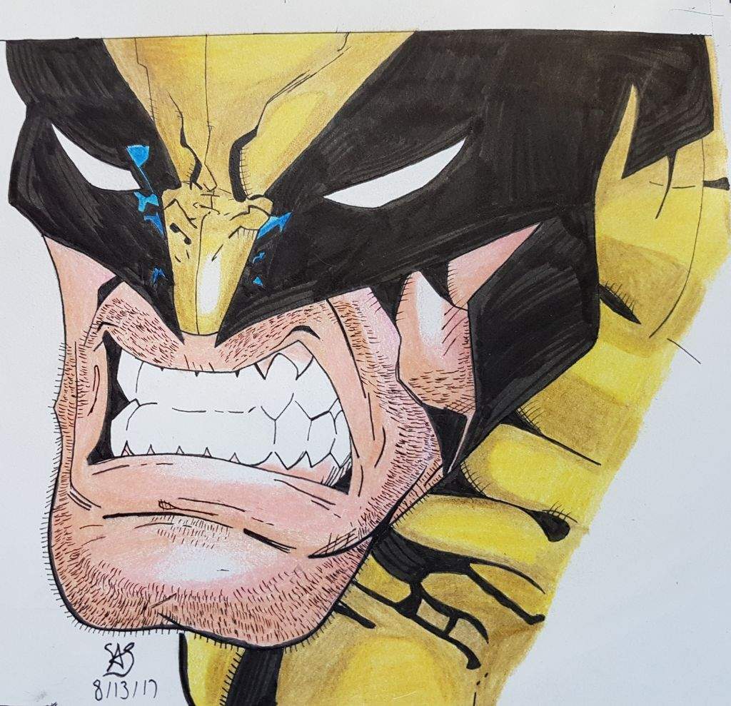 Wolverine drawing Cartoon Amino