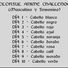 amino-Mirka Ugalde (Nel)-4201496e