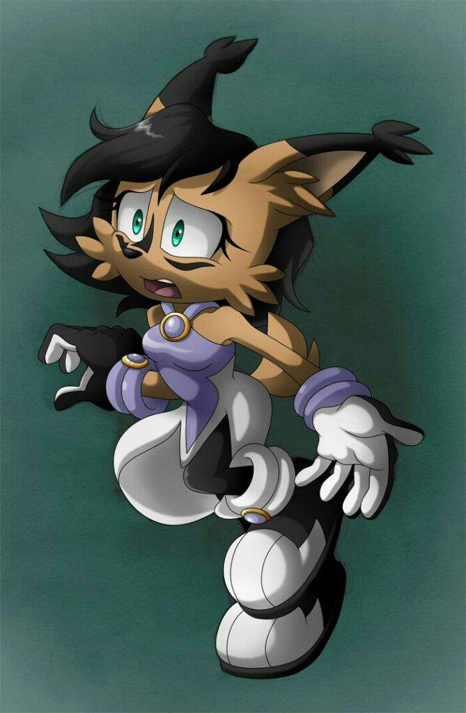 Nicole The Holo Lynx Sonic Universe Amino