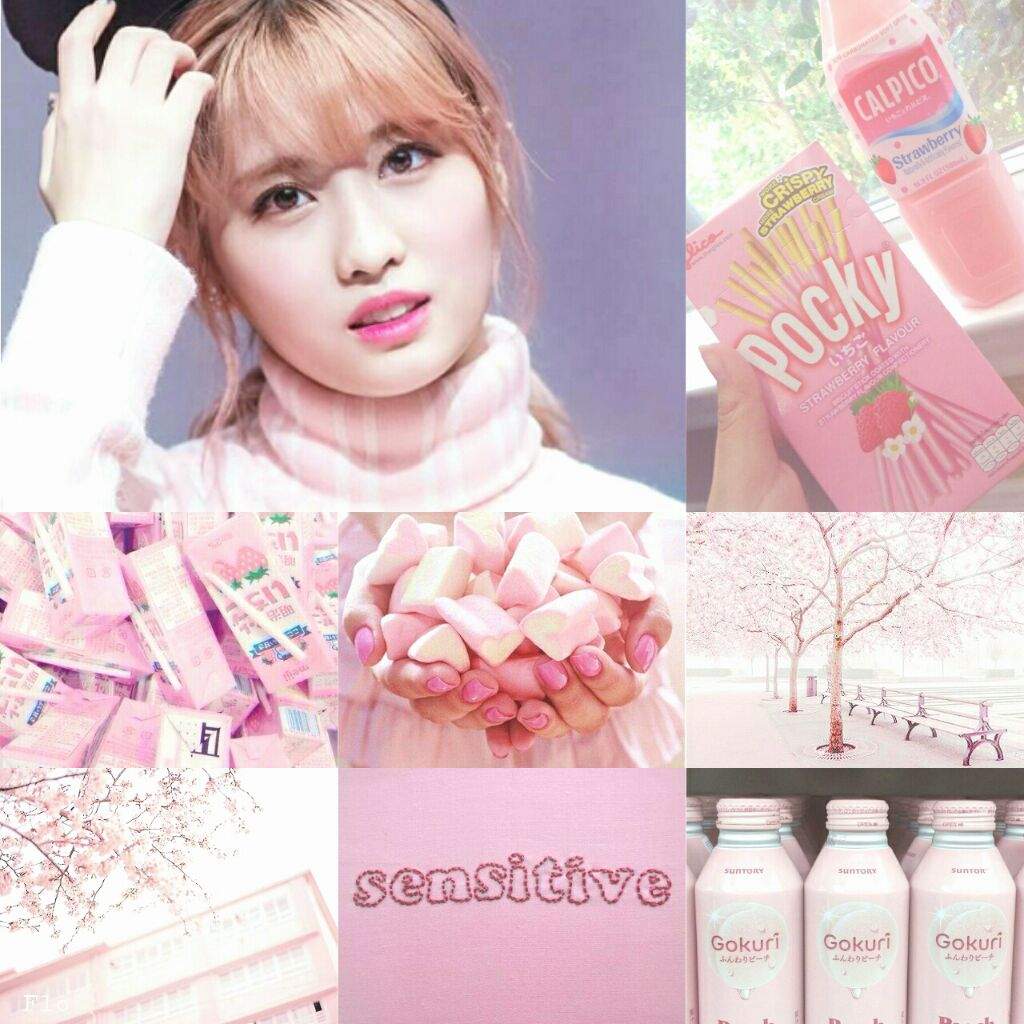 Momo Aesthetic Wallpaper