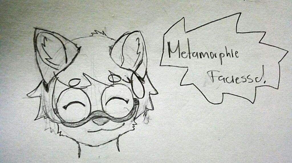 Sketches 7 Metamorphie Faciesse Furry Español Amino