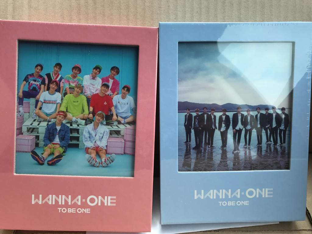 1x1 1 To Be One Unboxing Both Versions Wanna One 워너원 Amino