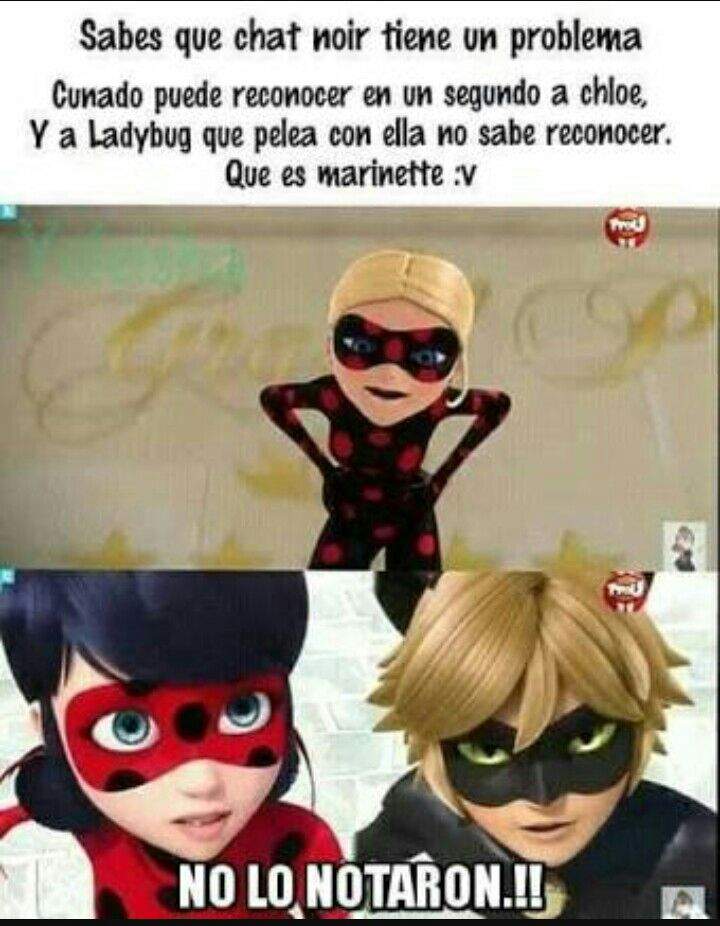 Memes miraculous | •Miraculous Ladybug Español• Amino