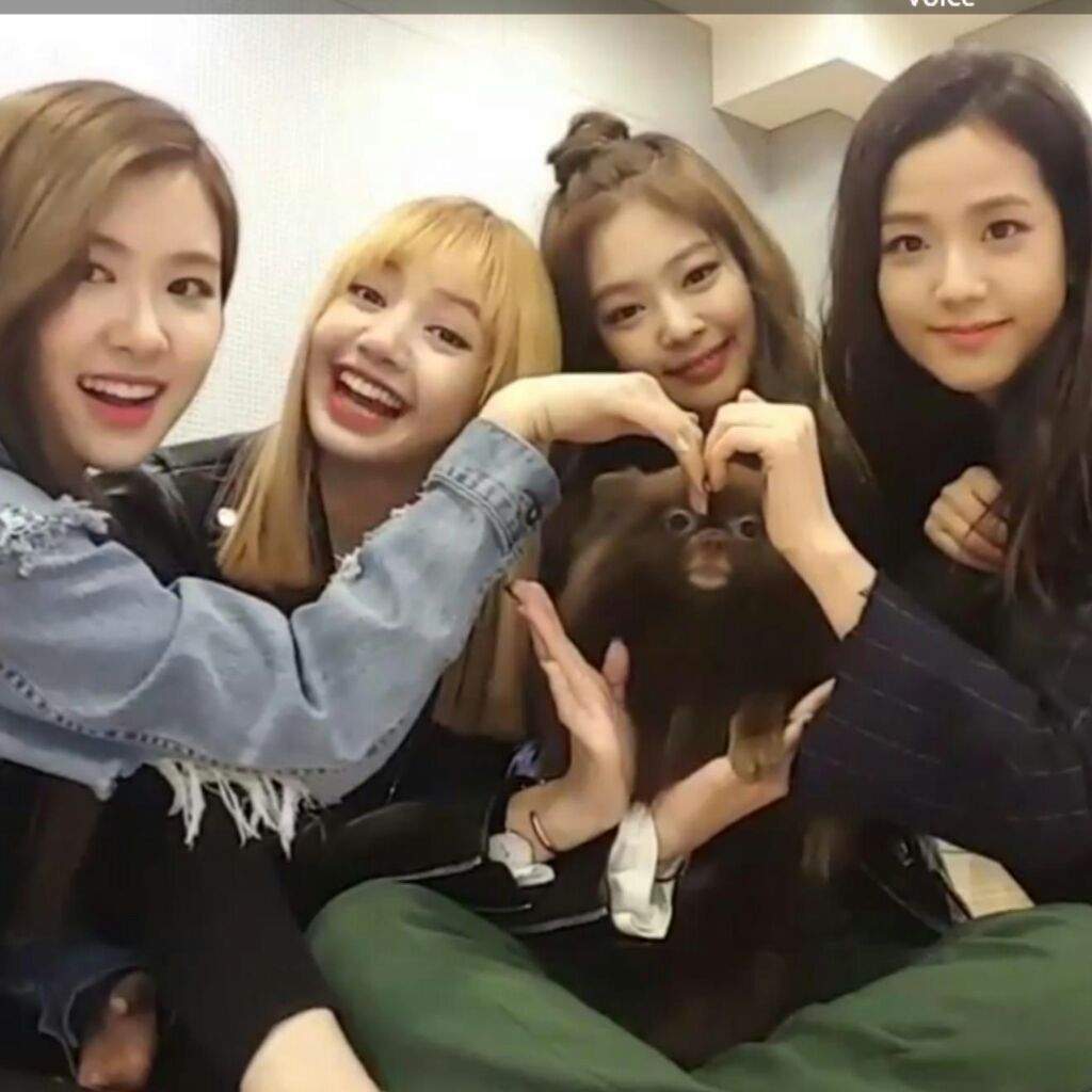 Blackpink with different heart sign | BLINK (블링크) Amino