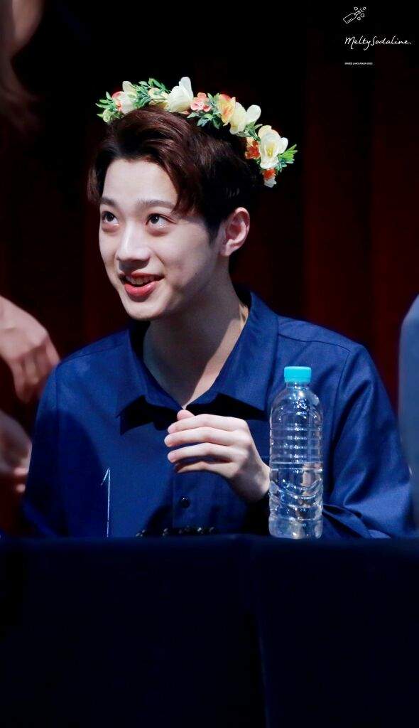 ⚜ guan lin | Wiki | Lai Guanlin Amino