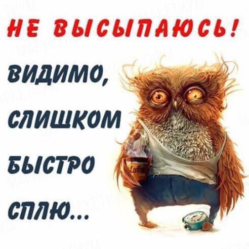 Открытка, смешные картинки выспался