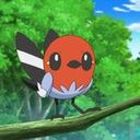 Fletchling | Wiki | Pokémon Amino