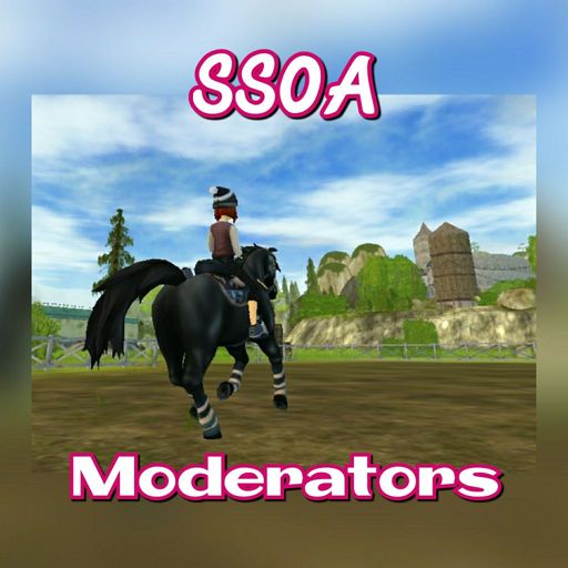 Friesian Sport Horse Wiki Star Stable Online Amino