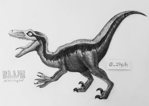 Baryonyx Drawing! | Jurassic Park Amino