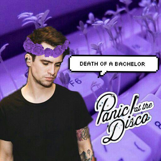 Edit de brendon urie ! 🌷😚🎤🍃 | • Recursos AMINO • Amino