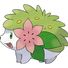 amino-Meloeshaymin-5eeccf31