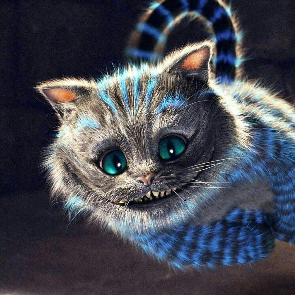 cheshire-cat-wiki-amino