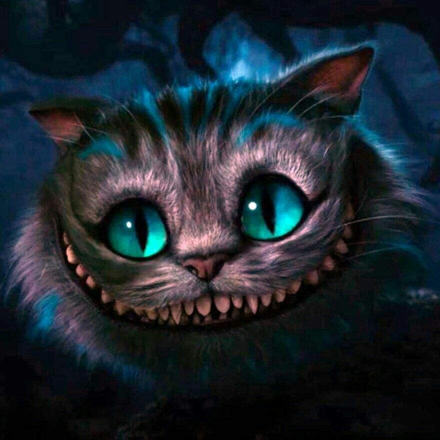 cheshire-cat-wiki-amino