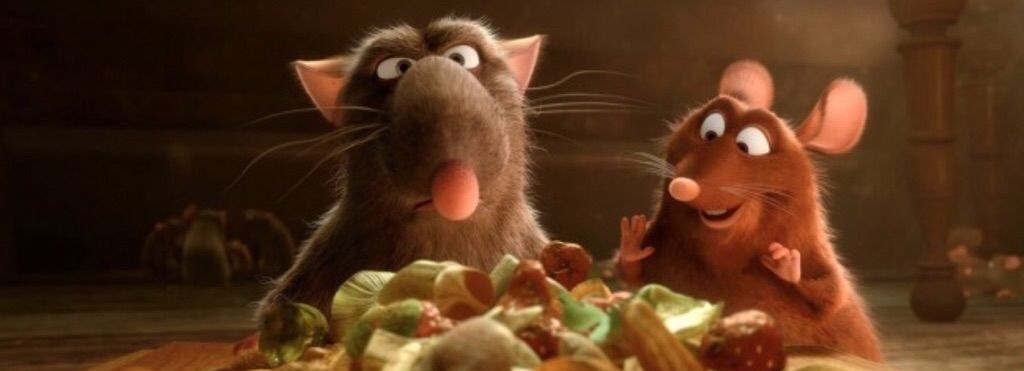 Ratatouille Review | Cartoon Amino