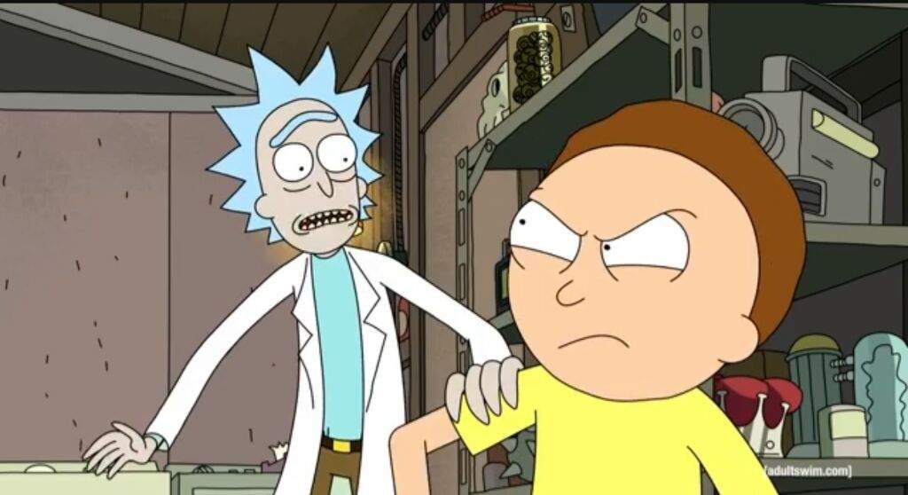 55 screenshots of Rick and Morty touching | Rick And Morty Amino
