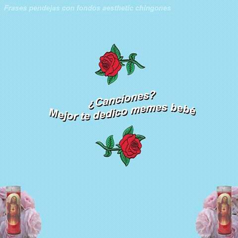 pinche putita te pones bien ca pinche putita te pones bien ca