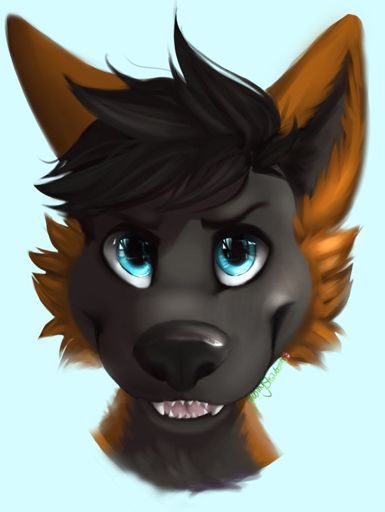 Jyra Fox- Headshot | Furry Amino