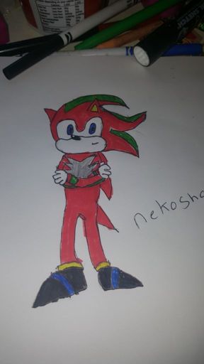 Oc drawn for denis the hedgehog | Sonic the Hedgehog! Amino