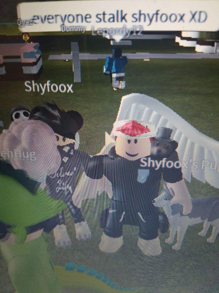 I Met Shyfoox Roblox Amino - met hat roblox