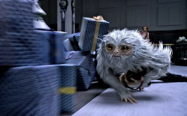 Demiguise Wiki Hogwarts Roleplay And Chat Amino   C72ce3f7897f23e3d39f4e60df0d848505614b46 Hq 