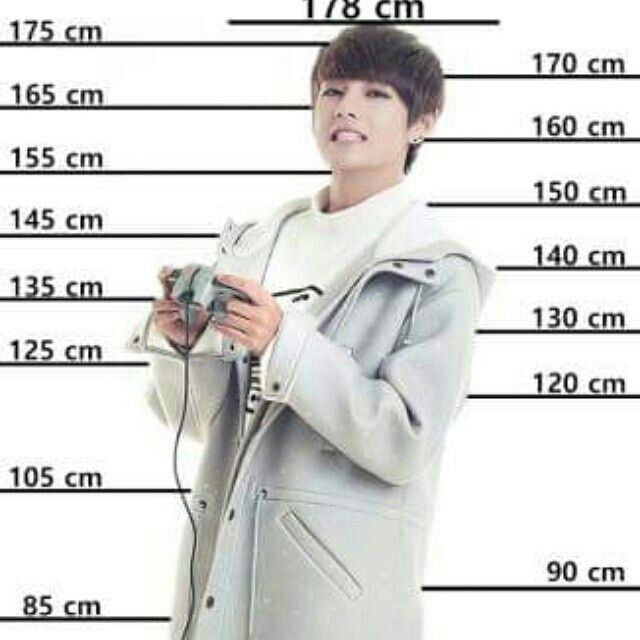 Compare your height with bts. | ARMY's Amino