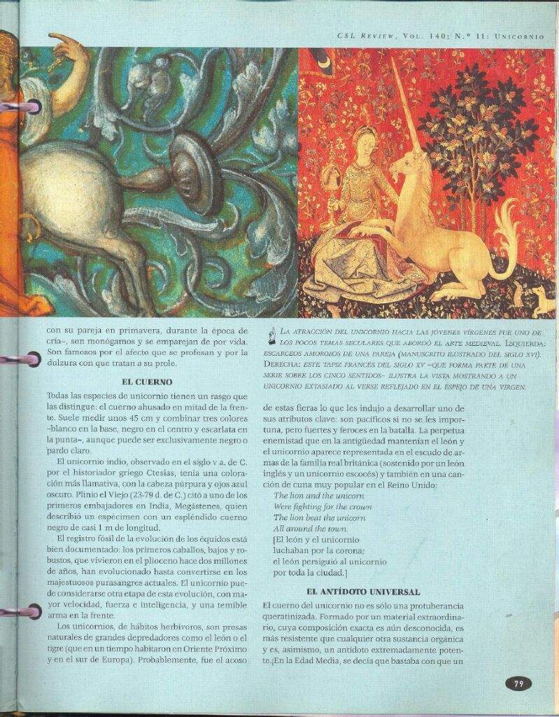 Enciclopedia de Seres Mágicos | Wiki | Wicca y Paganismo Amino