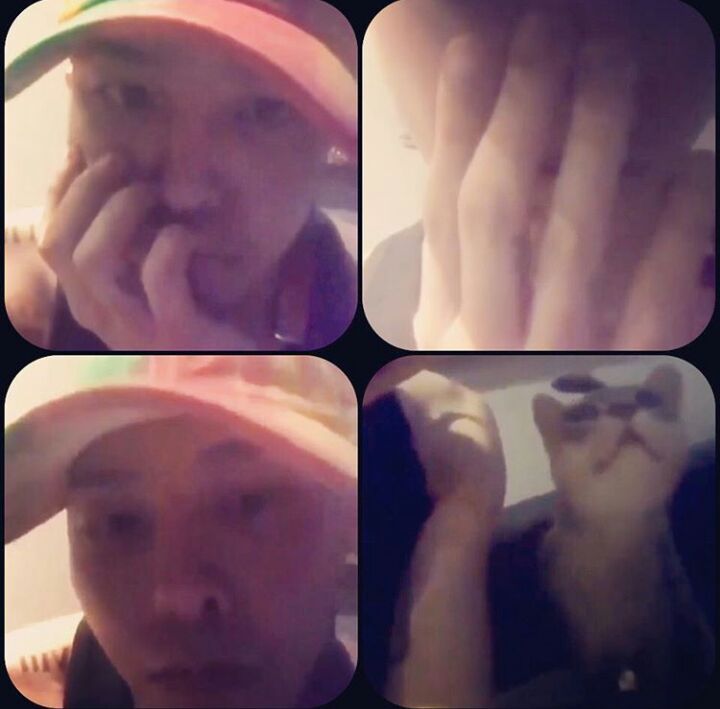 Translation Of Gd Live Chat In Instagram Gdragon Amino