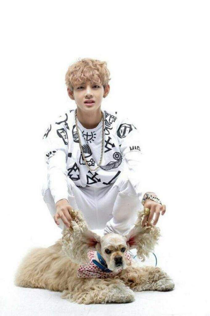 taehyung stuffed animal