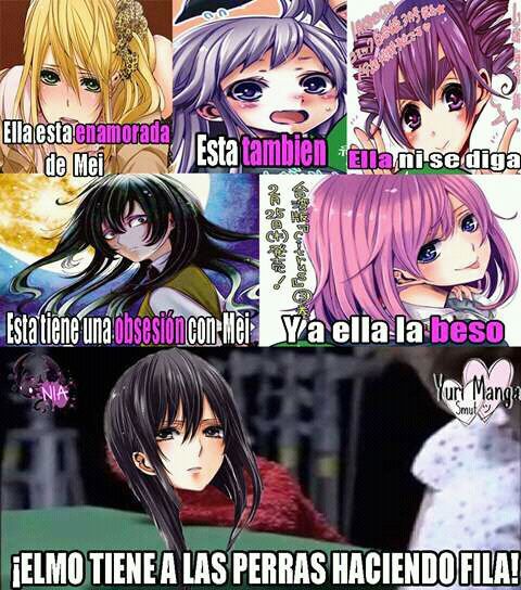 Memes /Yuri | •Anime• Amino