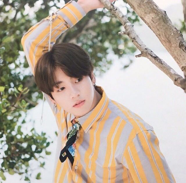 Bts Summer Package 17 Jungkook Army S Amino Amino