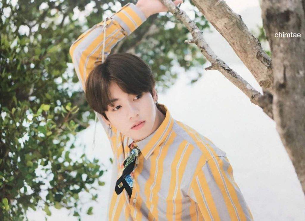 Bts Summer Package Jungkook 