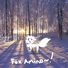 amino-Snow The Fox (male)-1e5a1004