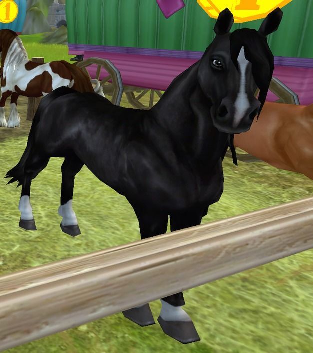 Friesian Sport Horse | Wiki | Star Stable Online Amino