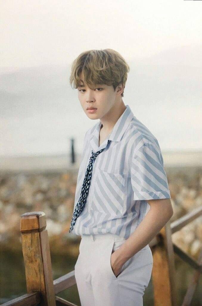 Jimin Summer Package 17 Army S Amino