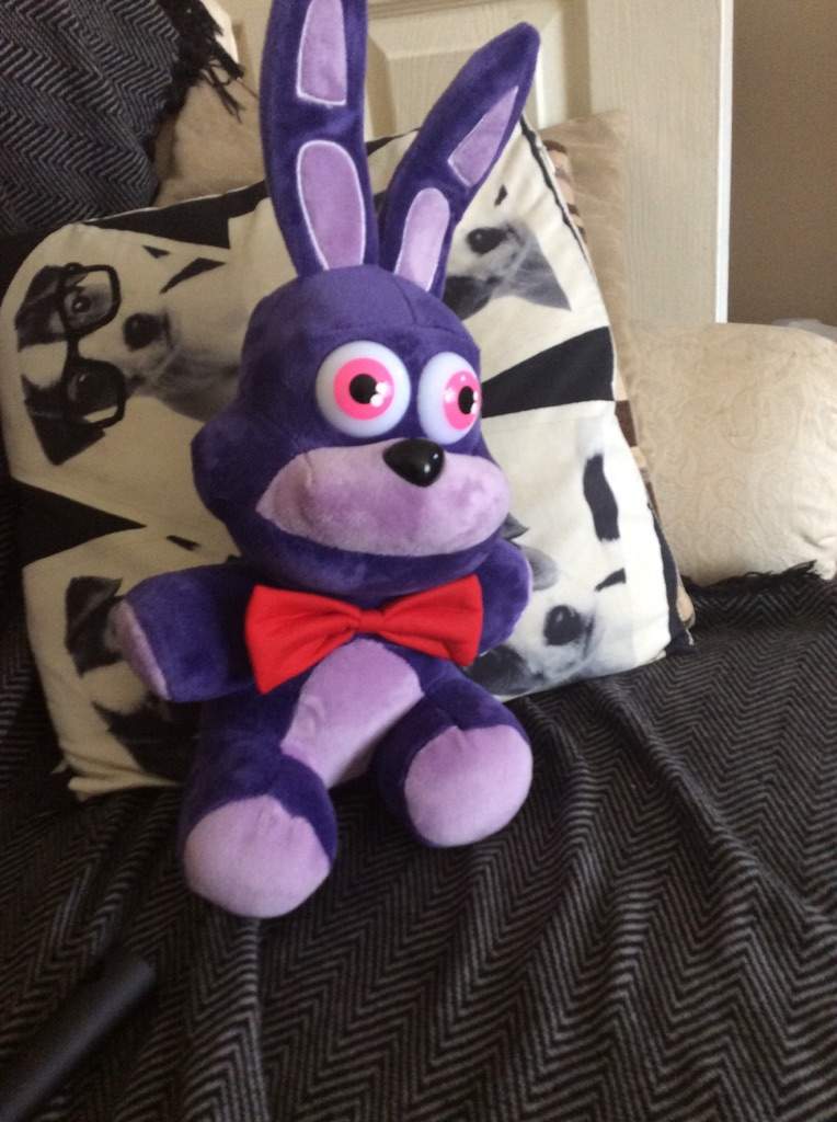 weather bonnie plush