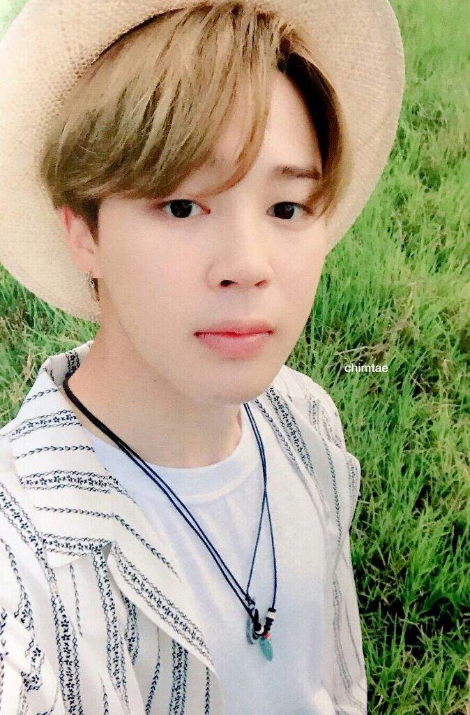 Jimin Summer Package 17 Army S Amino